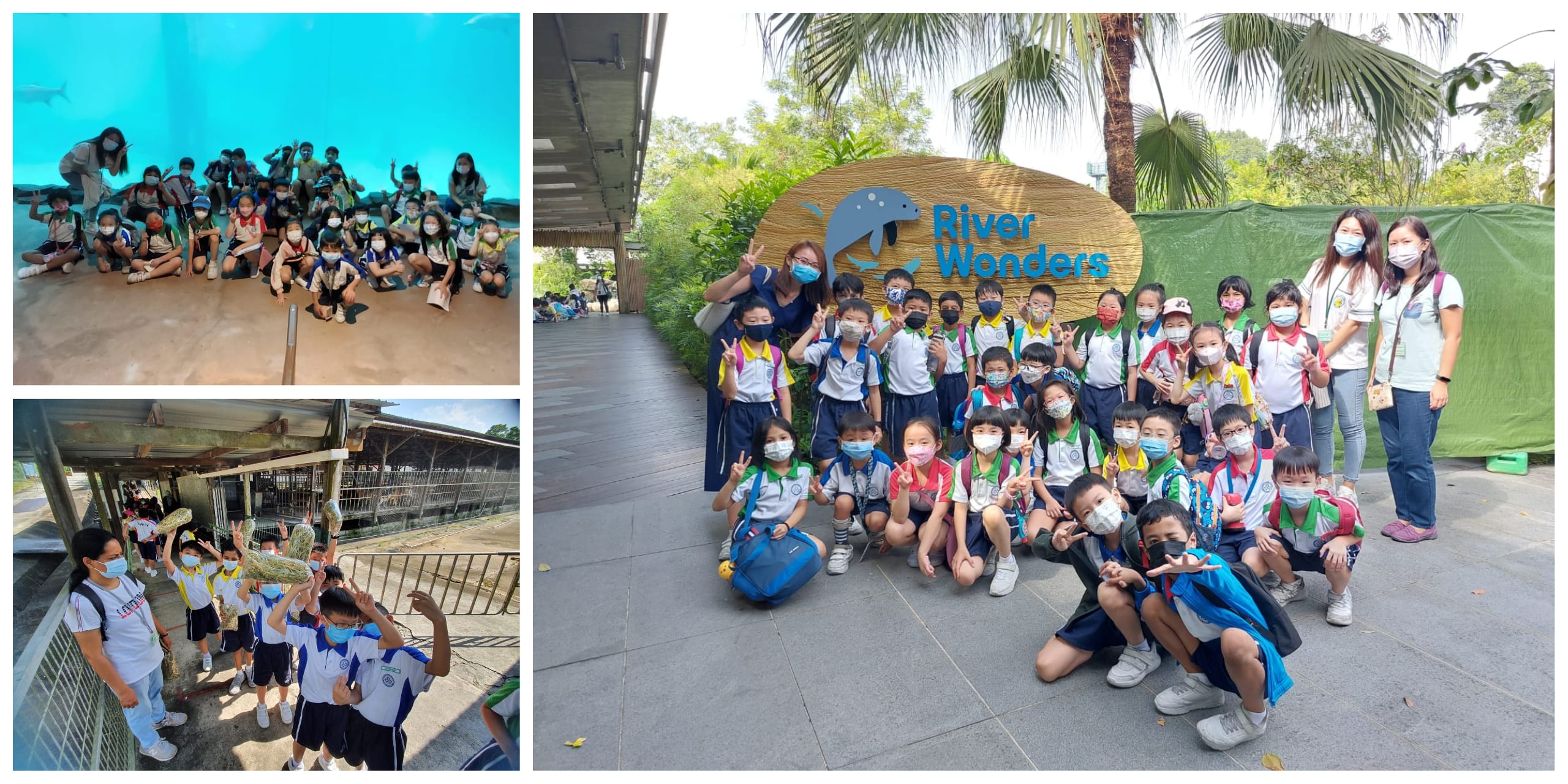 A group of masked schoolchildren and teachers pose at River Wonders attraction, with additional photos inside and near animal enclosures.